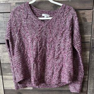 Sonoma Purple Marled V-Neck Sweater